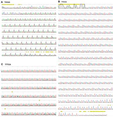 Synthesis and cloning of long repeat sequences using single-stranded circular DNA